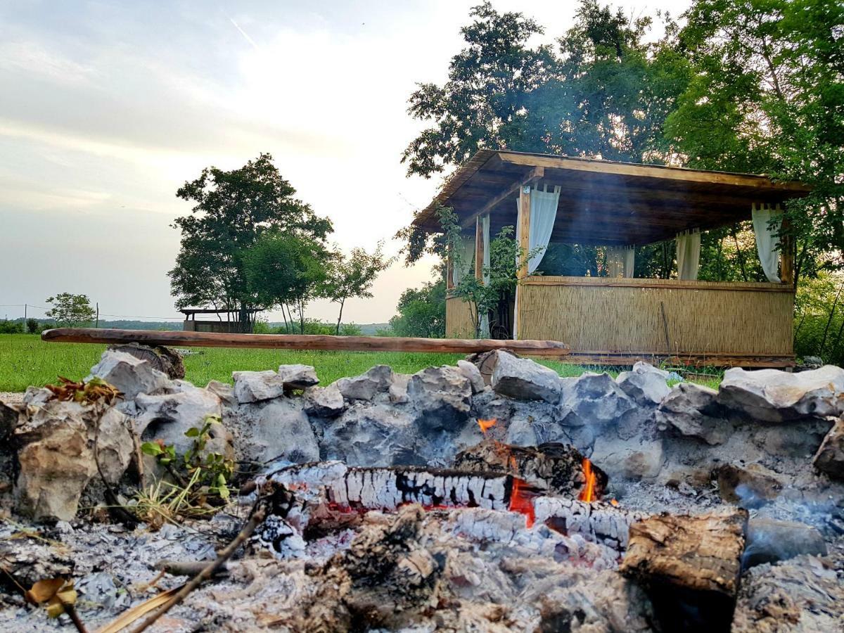 Robinson Accommodation Freedom Foli Zewnętrze zdjęcie